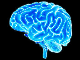 Neurosains Moral: Apakah Kita Terprogram untuk Berbuat Baik?